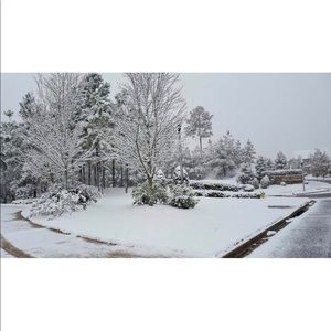 Meet your Posher, Angel